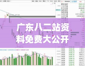 廣東八二站資料免費(fèi)大公開,實(shí)地觀察解釋定義_定義版AWP13.77