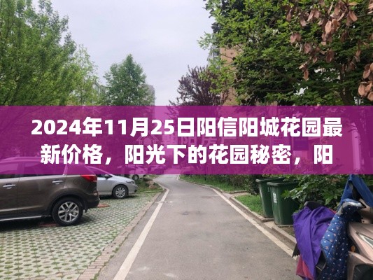 揭秘陽城花園最新價(jià)格，陽光下的溫馨家園之旅
