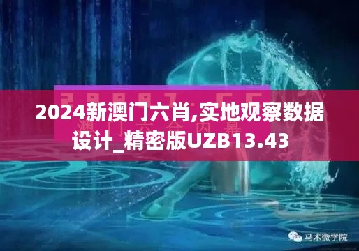 2024新澳門六肖,實地觀察數(shù)據(jù)設計_精密版UZB13.43