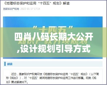 四肖八碼長(zhǎng)期大公開(kāi),設(shè)計(jì)規(guī)劃引導(dǎo)方式_升級(jí)版DGZ13.86