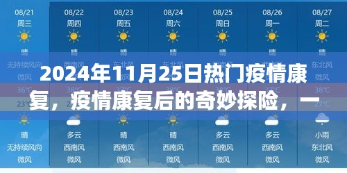 2024年11月25日熱門疫情康復，疫情康復后的奇妙探險，一場自然美景的心靈之旅