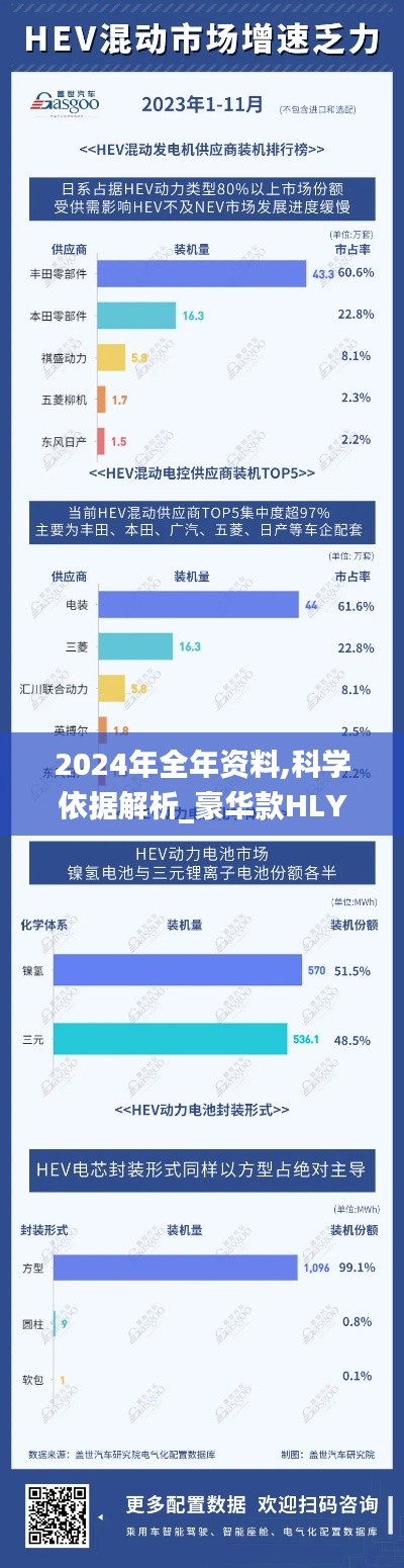 2024年全年資料,科學(xué)依據(jù)解析_豪華款HLY13.38