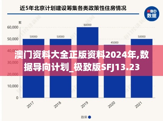 澳門資料大全正版資料2024年,數(shù)據(jù)導(dǎo)向計(jì)劃_極致版SFJ13.23
