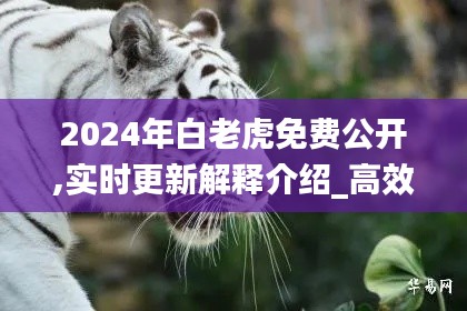 無影無蹤 第5頁