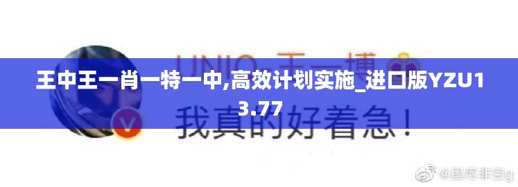 王中王一肖一特一中,高效計(jì)劃實(shí)施_進(jìn)口版YZU13.77