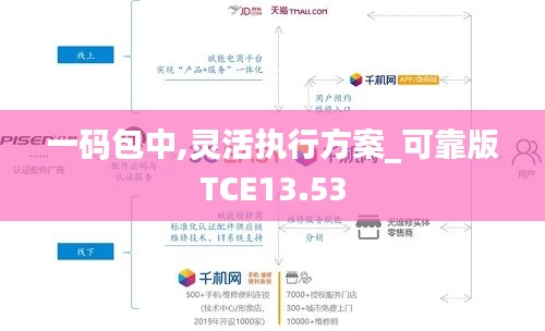 一碼包中,靈活執(zhí)行方案_可靠版TCE13.53