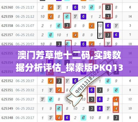澳門芳草地十二碼,實踐數(shù)據(jù)分析評估_探索版PKQ13.19