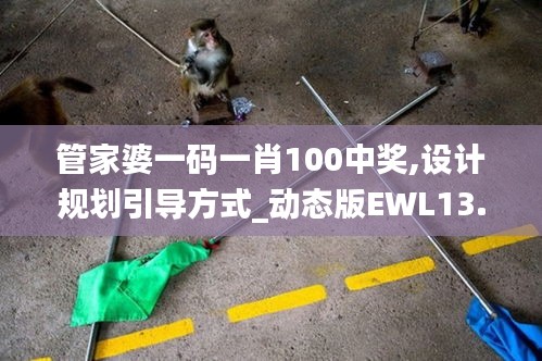 管家婆一碼一肖100中獎,設(shè)計規(guī)劃引導(dǎo)方式_動態(tài)版EWL13.48
