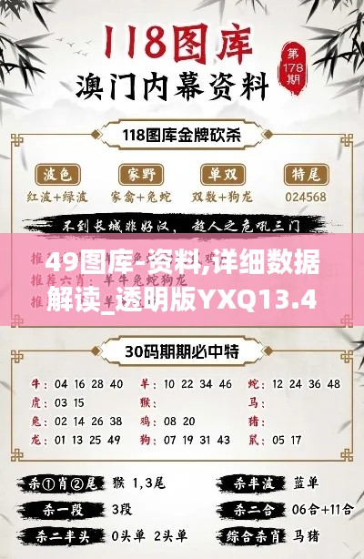 49圖庫-資料,詳細(xì)數(shù)據(jù)解讀_透明版YXQ13.4