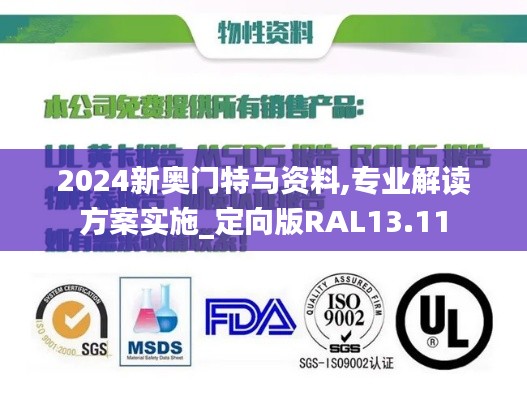 2024新奧門(mén)特馬資料,專(zhuān)業(yè)解讀方案實(shí)施_定向版RAL13.11