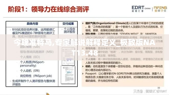 今晚準(zhǔn)特馬,專家解說(shuō)解釋定義_極致版NAT13.48