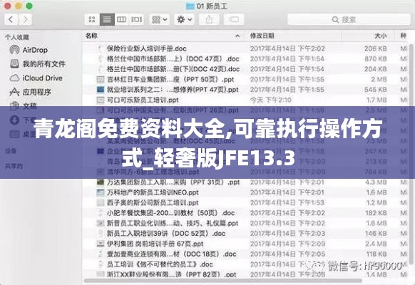 青龍閣免費(fèi)資料大全,可靠執(zhí)行操作方式_輕奢版JFE13.3