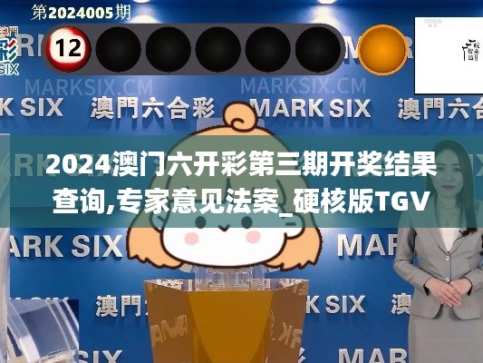 2024澳門六開彩第三期開獎結(jié)果查詢,專家意見法案_硬核版TGV13.98