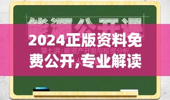 2024正版資料免費公開,專業(yè)解讀操行解決_硬核版LCD13.91
