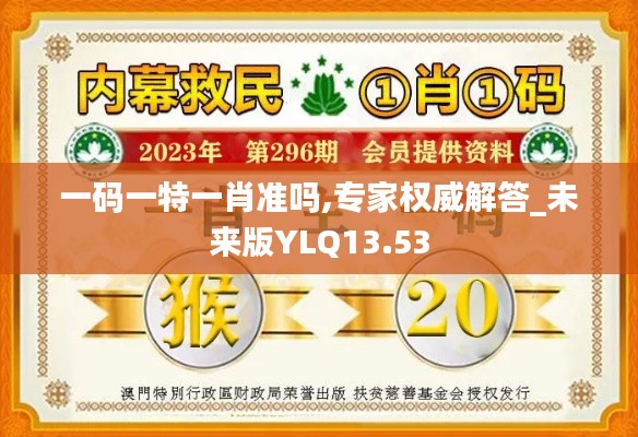 一碼一特一肖準(zhǔn)嗎,專家權(quán)威解答_未來版YLQ13.53