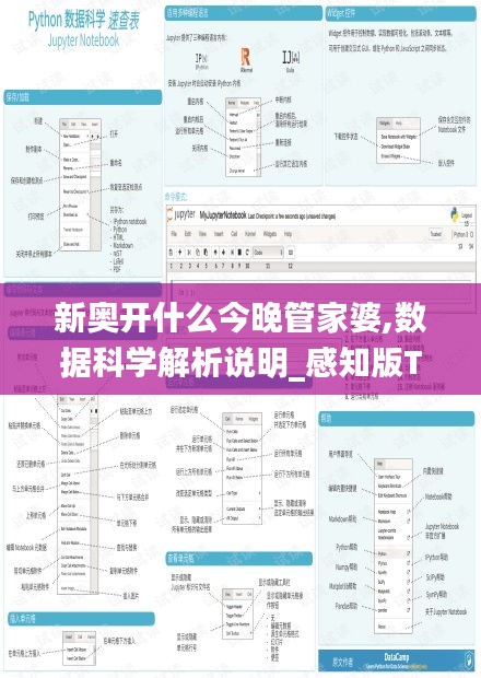 新奧開什么今晚管家婆,數(shù)據(jù)科學(xué)解析說明_感知版TFN13.49