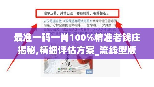 最準(zhǔn)一碼一肖100%精準(zhǔn)老錢莊揭秘,精細(xì)評估方案_流線型版XSE13.21