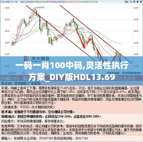 一碼一肖100中碼,靈活性執(zhí)行方案_DIY版HDL13.69