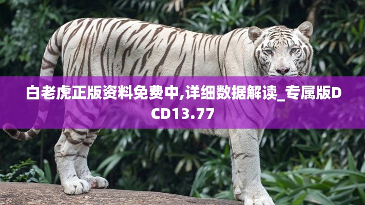 白老虎正版資料免費(fèi)中,詳細(xì)數(shù)據(jù)解讀_專(zhuān)屬版DCD13.77