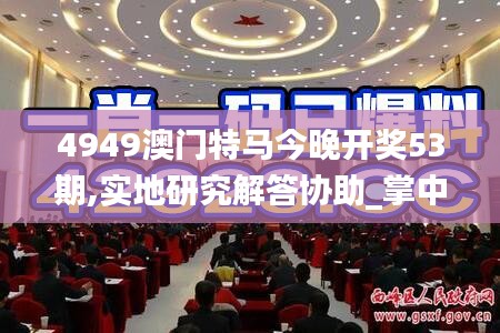 4949澳門特馬今晚開獎(jiǎng)53期,實(shí)地研究解答協(xié)助_掌中寶JSJ13.31