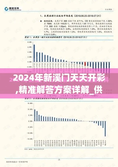2024年新溪門天天開彩,精準解答方案詳解_供給版VYE13.1