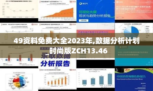 49資料免費(fèi)大全2023年,數(shù)據(jù)分析計(jì)劃_時(shí)尚版ZCH13.46