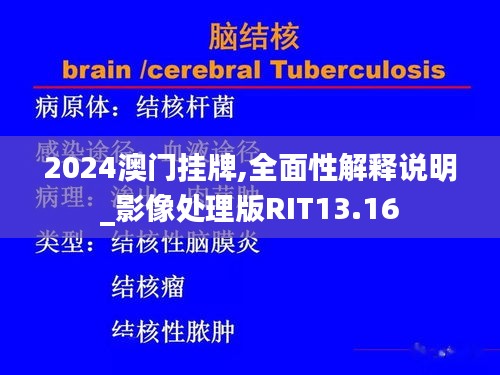 2024澳門掛牌,全面性解釋說明_影像處理版RIT13.16