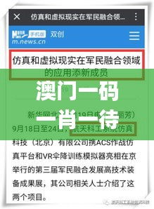 澳門一碼一肖一待一中四不像,仿真方案實施_媒體宣傳版EHZ13.67