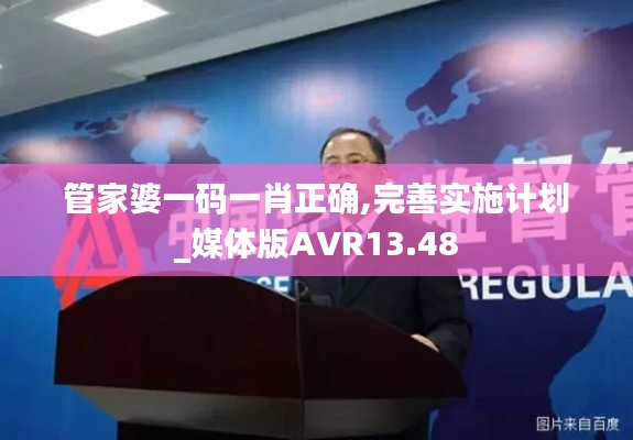 管家婆一碼一肖正確,完善實施計劃_媒體版AVR13.48