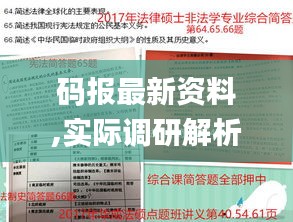 碼報(bào)最新資料,實(shí)際調(diào)研解析_旅行版IEA13.10