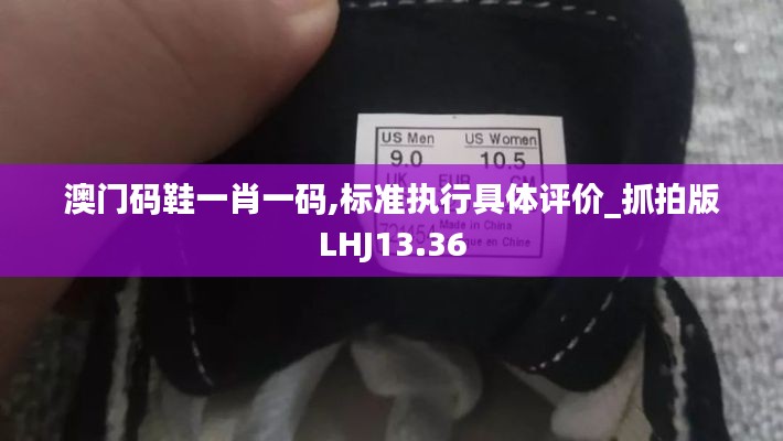澳門碼鞋一肖一碼,標(biāo)準(zhǔn)執(zhí)行具體評價_抓拍版LHJ13.36