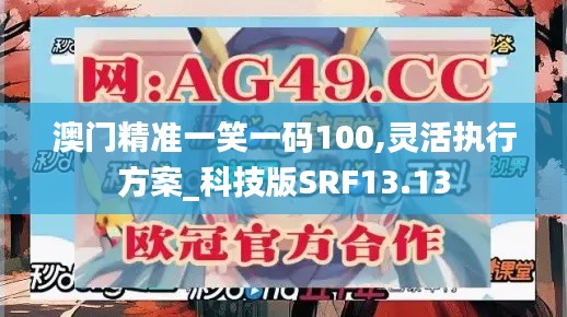 澳門精準(zhǔn)一笑一碼100,靈活執(zhí)行方案_科技版SRF13.13