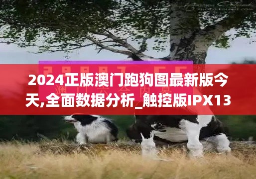 2024正版澳門跑狗圖最新版今天,全面數(shù)據(jù)分析_觸控版IPX13.57