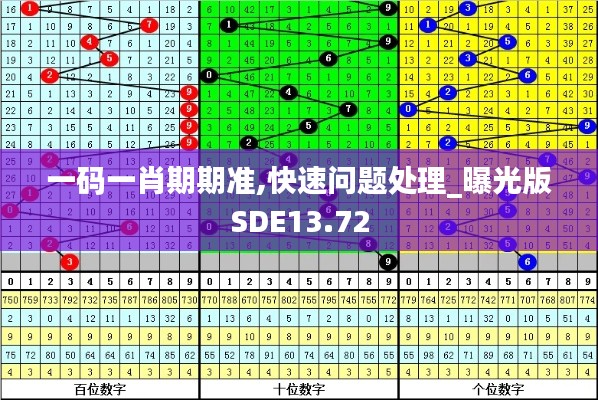 一碼一肖期期準(zhǔn),快速問(wèn)題處理_曝光版SDE13.72