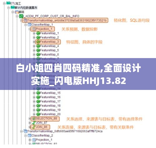 白小姐四肖四碼精準,全面設計實施_閃電版HHJ13.82