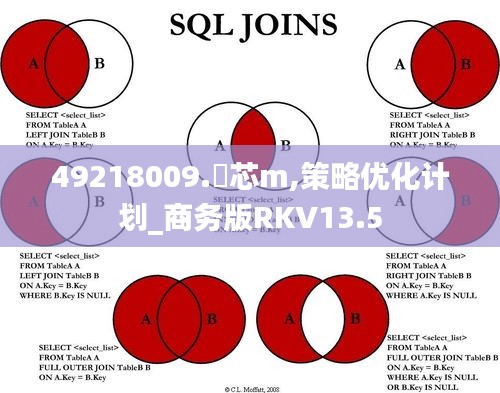 49218009.褋芯m,策略優(yōu)化計(jì)劃_商務(wù)版RKV13.5