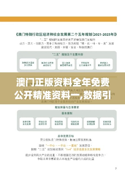 澳門(mén)正版資料全年免費(fèi)公開(kāi)精準(zhǔn)資料一,數(shù)據(jù)引導(dǎo)設(shè)計(jì)方法_資源版BXB13.25