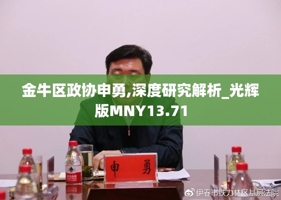 金牛區(qū)政協(xié)申勇,深度研究解析_光輝版MNY13.71