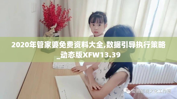 2020年管家婆免費(fèi)資料大全,數(shù)據(jù)引導(dǎo)執(zhí)行策略_動態(tài)版XFW13.39