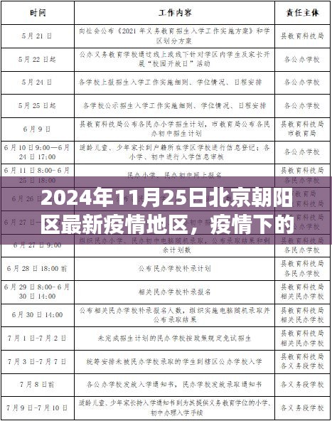 北京朝陽區(qū)疫情下的冬日溫馨日常與奇遇紀實（最新更新）