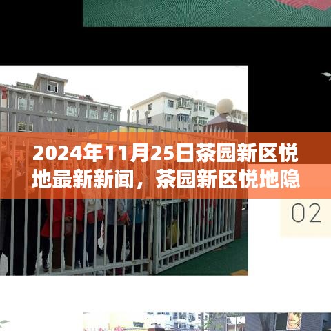 茶園新區(qū)悅地最新動(dòng)態(tài)，隱秘瑰寶小巷特色小店探秘揭秘日（2024年11月25日）