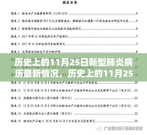 歷史上的11月25日新型肺炎疫情最新動態(tài)，病例解析與應(yīng)對指南