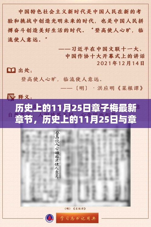 探尋文學(xué)世界的秘密，歷史上的11月25日與章子梅最新章節(jié)回顧