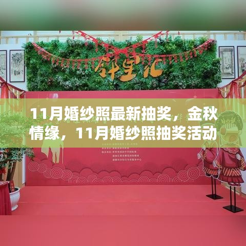 金秋情緣婚紗照抽獎活動深度評測與介紹