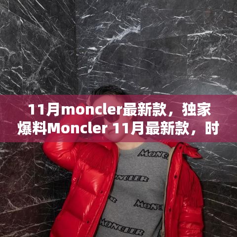 11月moncler最新款，獨(dú)家爆料Moncler 11月最新款，時(shí)尚巔峰之選！