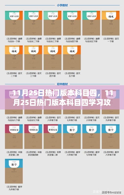 11月25日熱門(mén)版本科目四學(xué)習(xí)攻略，從入門(mén)到精通的技能指南