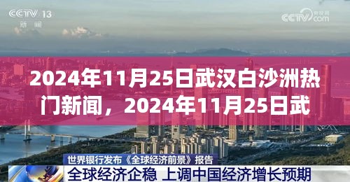 揭秘武漢白沙洲區(qū)域發(fā)展新動向，熱門新聞一覽（2024年11月25日）