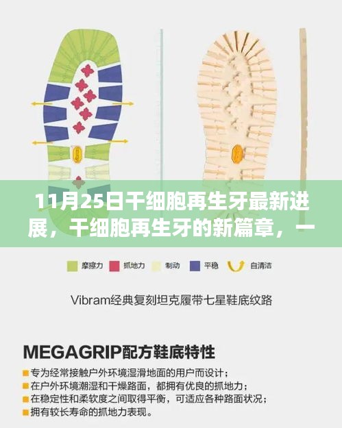 干細胞再生牙最新進展，開啟新篇章，家庭故事傳遞愛與陪伴的力量