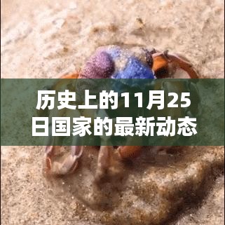 歷史上的11月25日國(guó)家動(dòng)態(tài)回顧與影響分析，最新動(dòng)態(tài)及國(guó)家發(fā)展軌跡梳理