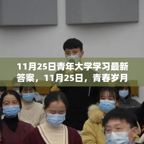 青春歲月里的知識(shí)盛宴與溫暖友情，青年大學(xué)學(xué)習(xí)最新答案（11月25日）